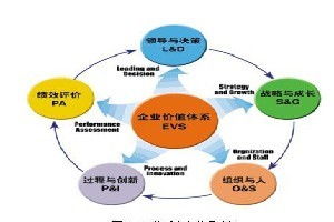 经营管理咨询 济南善通有限公企业文化升维策略与实践